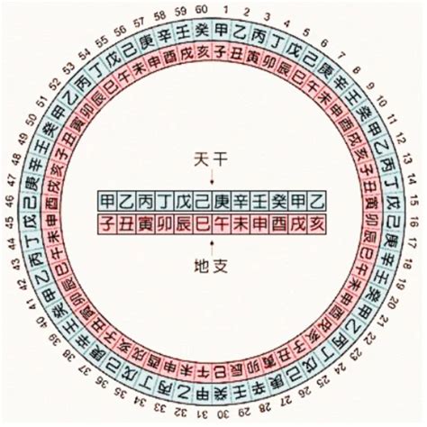 1982 天干地支|天干属性 干支纪年对照表